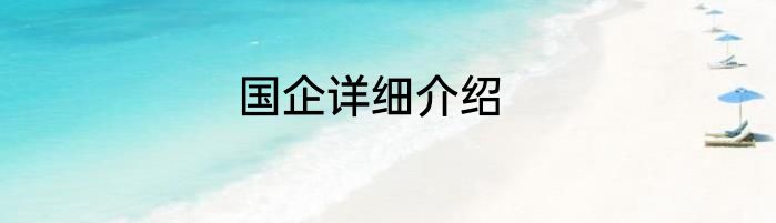 国企详细介绍