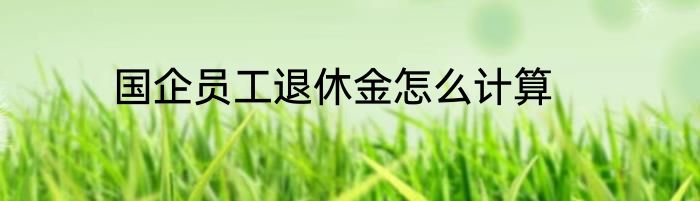 国企员工退休金怎么计算