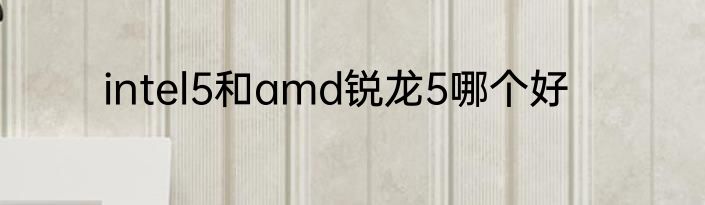 intel5和amd锐龙5哪个好