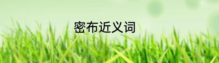 密布近义词