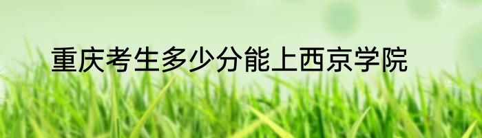 重庆考生多少分能上西京学院