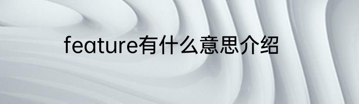 feature有什么意思介绍