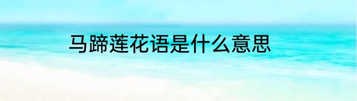 马蹄莲花语是什么意思