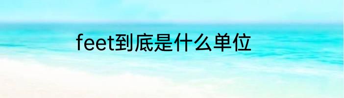 feet到底是什么单位