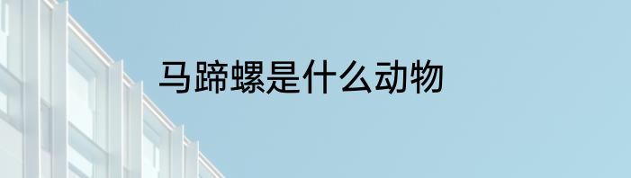 马蹄螺是什么动物