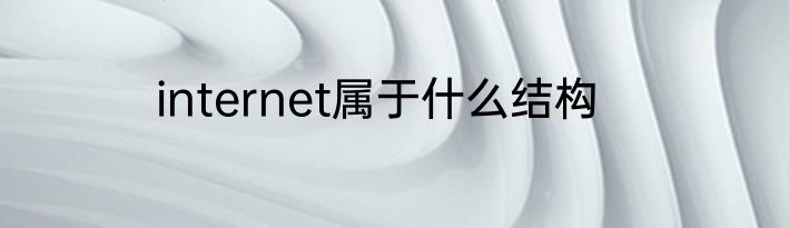 internet属于什么结构