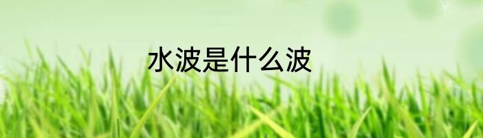 水波是什么波