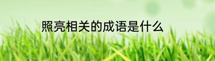 照亮相关的成语是什么
