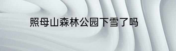 照母山森林公园下雪了吗