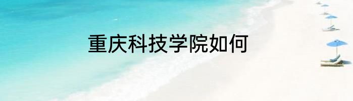重庆科技学院如何