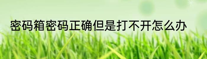 密码箱密码正确但是打不开怎么办