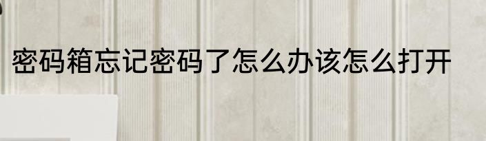 密码箱忘记密码了怎么办该怎么打开