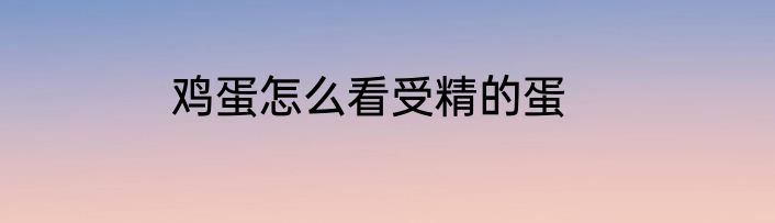 鸡蛋怎么看受精的蛋