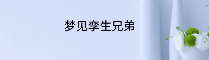 梦见孪生兄弟