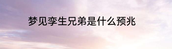 梦见孪生兄弟是什么预兆