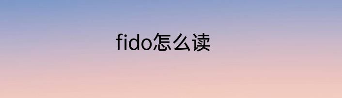 fido怎么读
