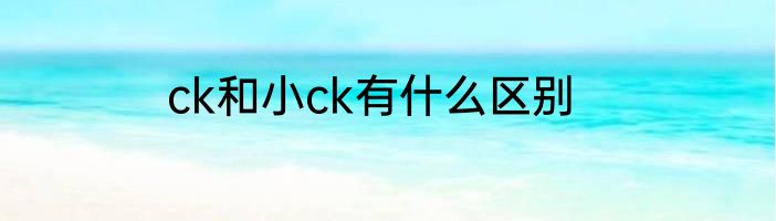 ck和小ck有什么区别
