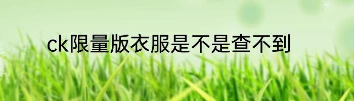 ck限量版衣服是不是查不到