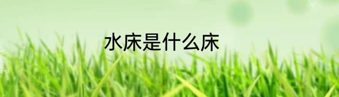 水床是什么床