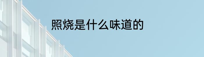 照烧是什么味道的