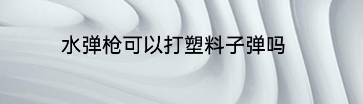 水弹枪可以打塑料子弹吗