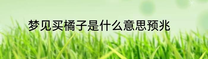 梦见买橘子是什么意思预兆
