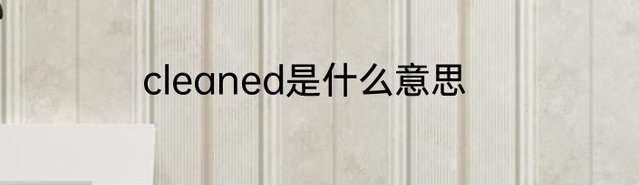 cleaned是什么意思