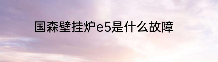 国森壁挂炉e5是什么故障