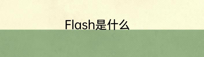 Flash是什么