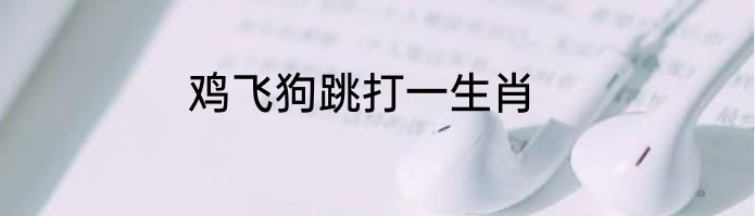 鸡飞狗跳打一生肖