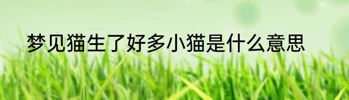 梦见猫生了好多小猫是什么意思