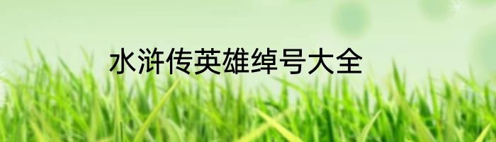 水浒传英雄绰号大全