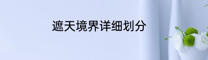 遮天境界详细划分