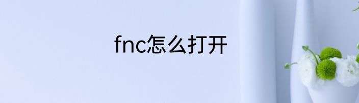 fnc怎么打开