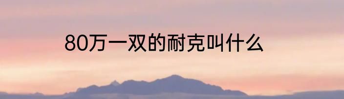 80万一双的耐克叫什么