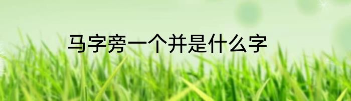 马字旁一个并是什么字