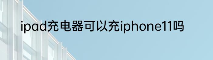 ipad充电器可以充iphone11吗