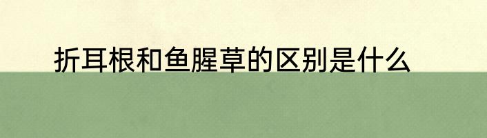 折耳根和鱼腥草的区别是什么