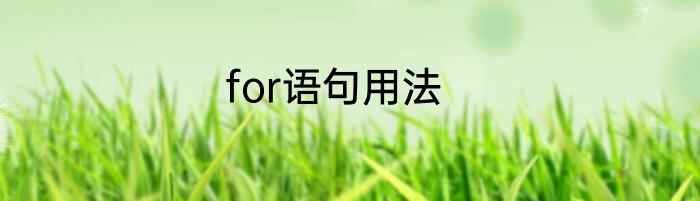 for语句用法