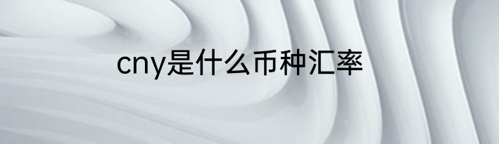 cny是什么币种汇率