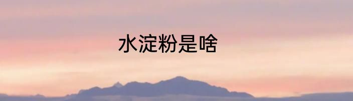 水淀粉是啥