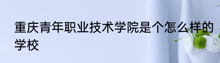 重庆青年职业技术学院是个怎么样的学校