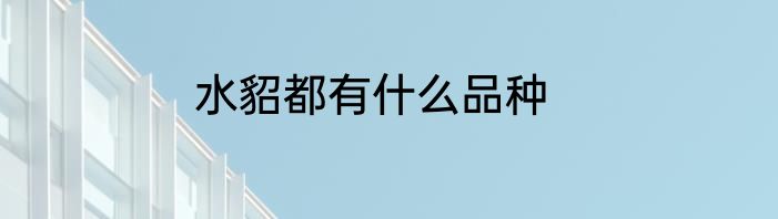水貂都有什么品种