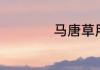 马唐草用什么除草剂