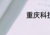 重庆科技学院分数线