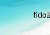 fido是什么意思