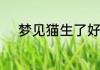 梦见猫生了好多小猫是什么意思