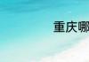 重庆哪些二本大学