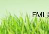 FML是什么意思