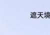 遮天境界详细划分